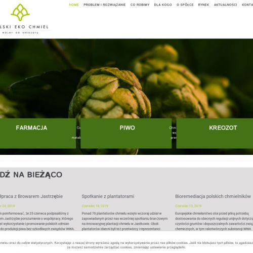 Polski chmiel do piwa