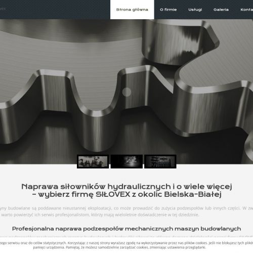 Produkcja siłowników