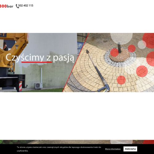 Czyszczenie dachu z mchu w Poznaniu