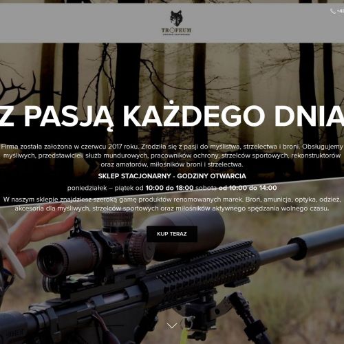 Śrut do wiatrówki w Malborku