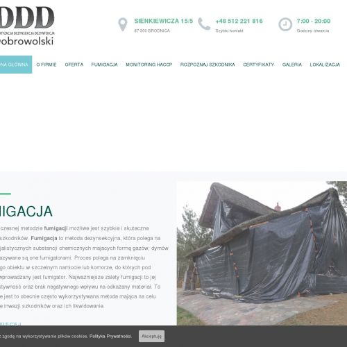 Odpluskwianie w Toruniu