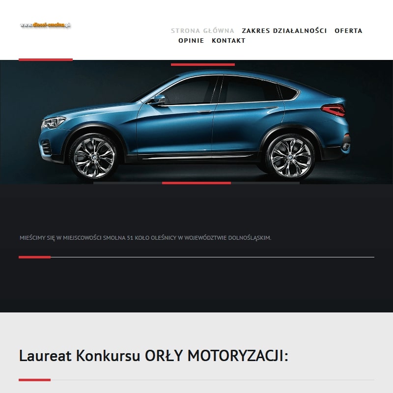 Naprawa pomp wtryskowych Oława