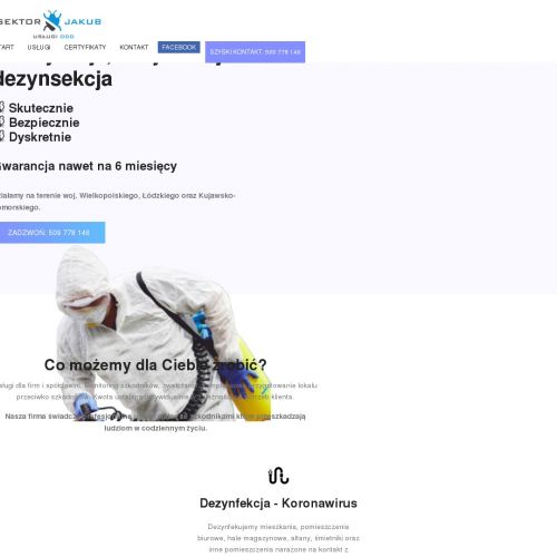 Zwalczanie karaluchów Konin