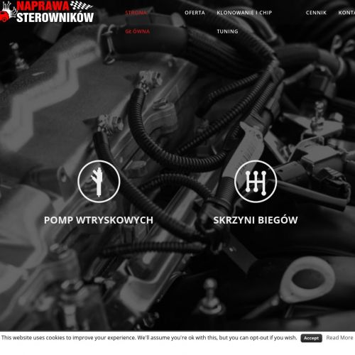 Naprawa sterownika silnika opel w Krakowie