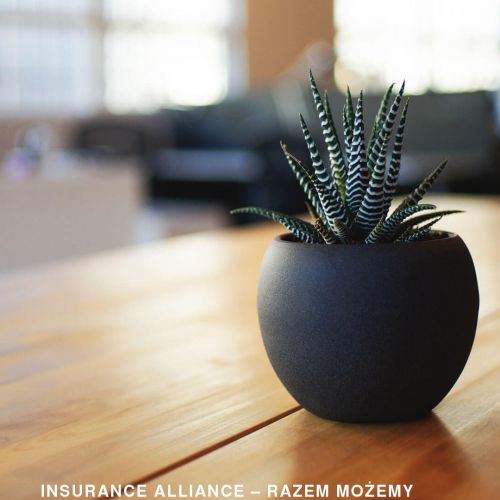 Gdańsk - obowiązki agenta ubezpieczeniowego