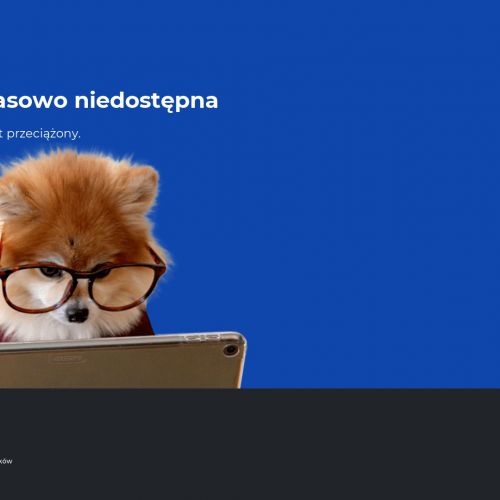 Prusaki dezynsekcja Warszawa