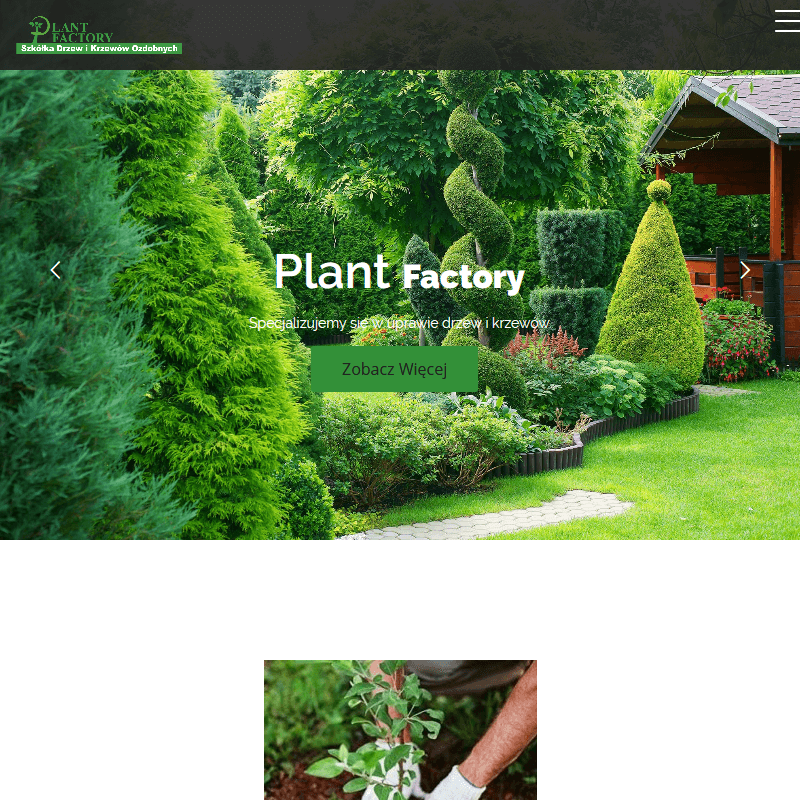 Tanie rośliny ogrodowe wysyłka